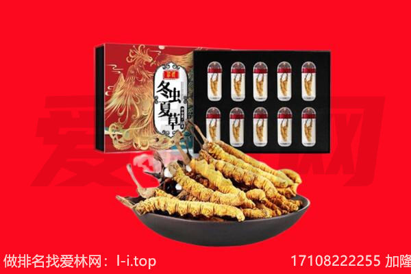 自贡自流井区回收虫草.jpg